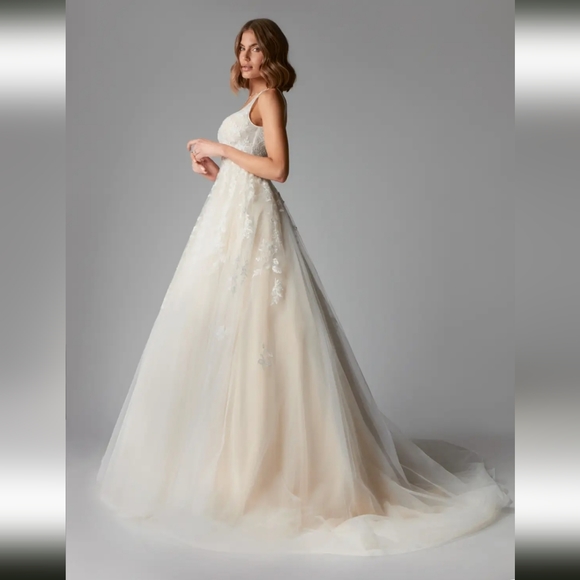 Size 30 Azazie Sorella Wedding Dress (Diamond White over Champagne) - Picture 4 of 8